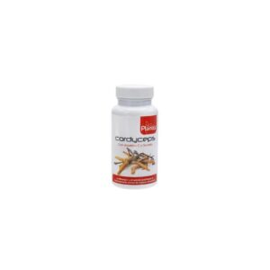 CORDYCEPS